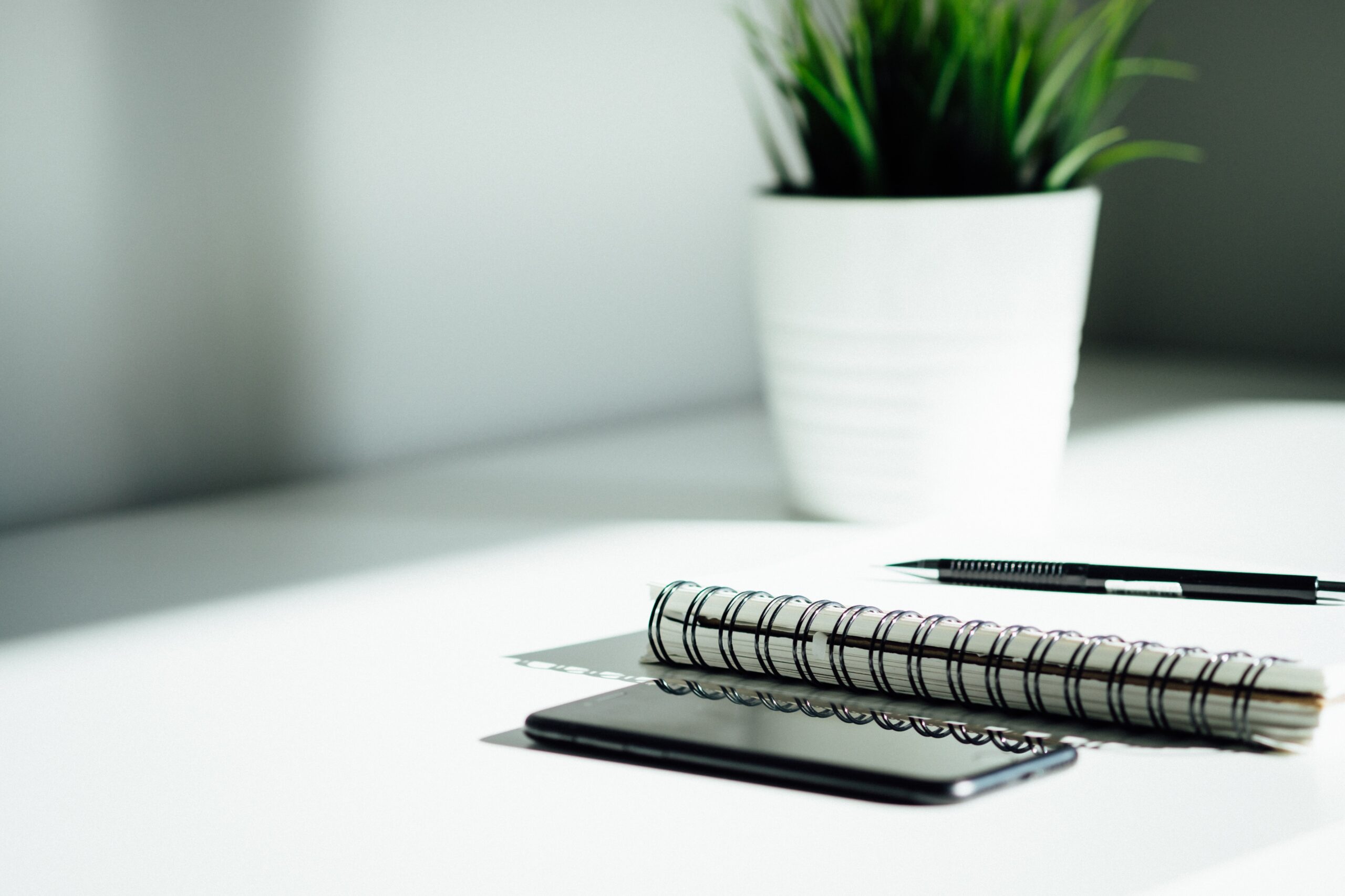 photo of a phone, note book and plant on a desk