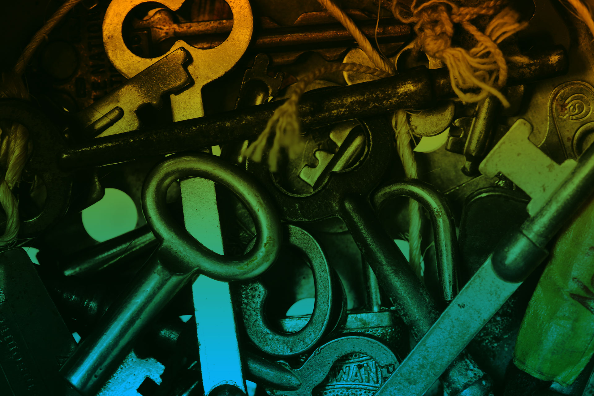 WordPress Security for Complete Beginners